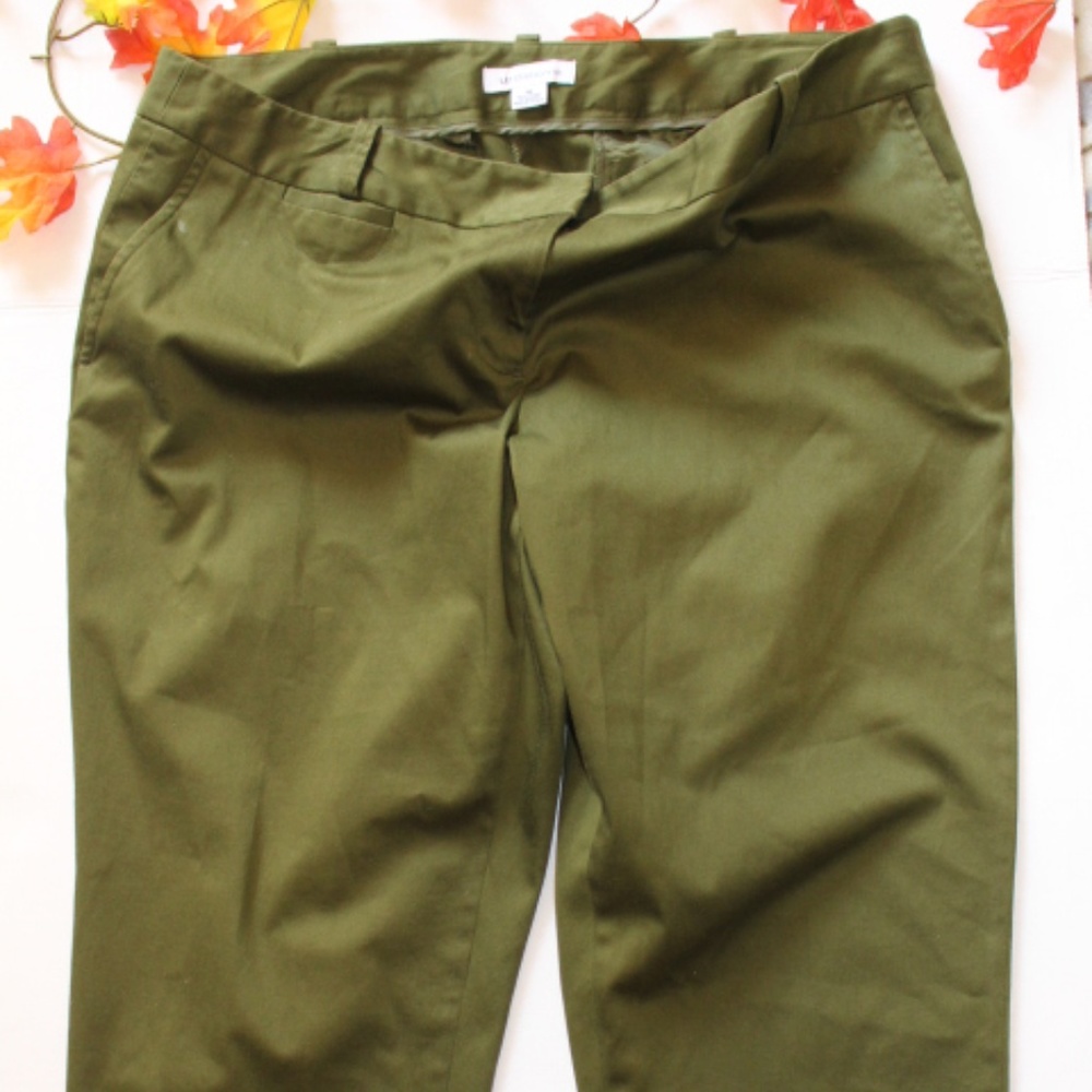 Petite Green Capri Pants